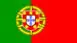 Portuguese Flag | Amaral Home Construction and Real Estate | Palm Coast